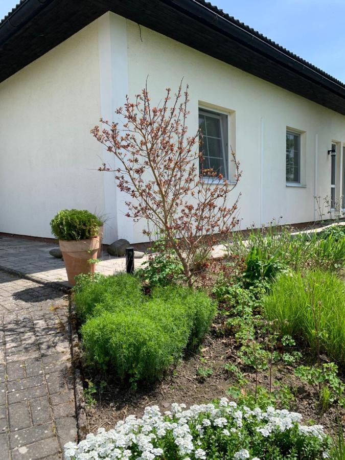 Studiový apartmán V Zahradě Police nad Metují Esterno foto